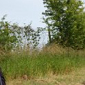 Ostsee-Jumbo-20090627-160416